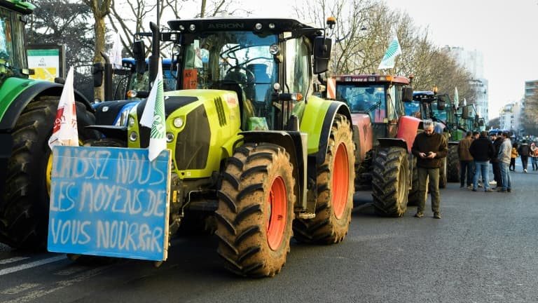 , Rémunération, concurrence déloyale… Ce que réclament les agriculteurs toujours mobilisés ce lundi