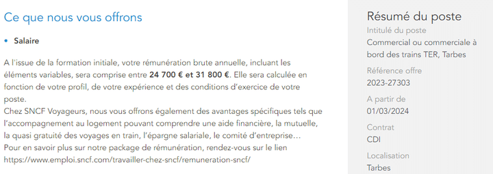 Une offre d'emploi pour un poste de commercial à bord des trains TER à Tarbes (Hautes-Pyrénées), consultée le 15 février 2024. (CAPTURE D'ECRAN SNCF)