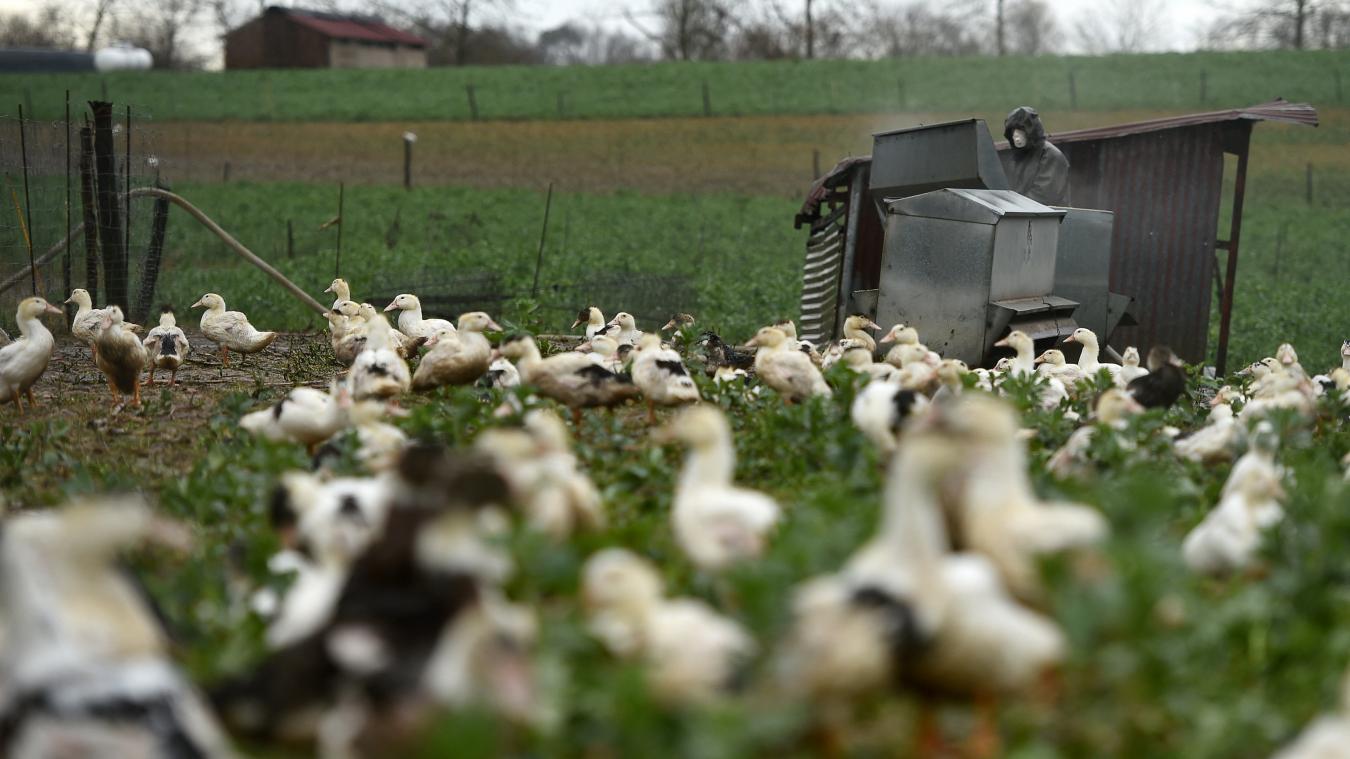 , Meilleure rémunération des agriculteurs, prix planchers, c’est quoi cette loi adoptée par les députés