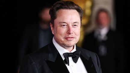 Elon Musk le 13 avril 2024 à Los Angeles (Etats-Unis). (IMAGE PRESS AGENCY / AFP)