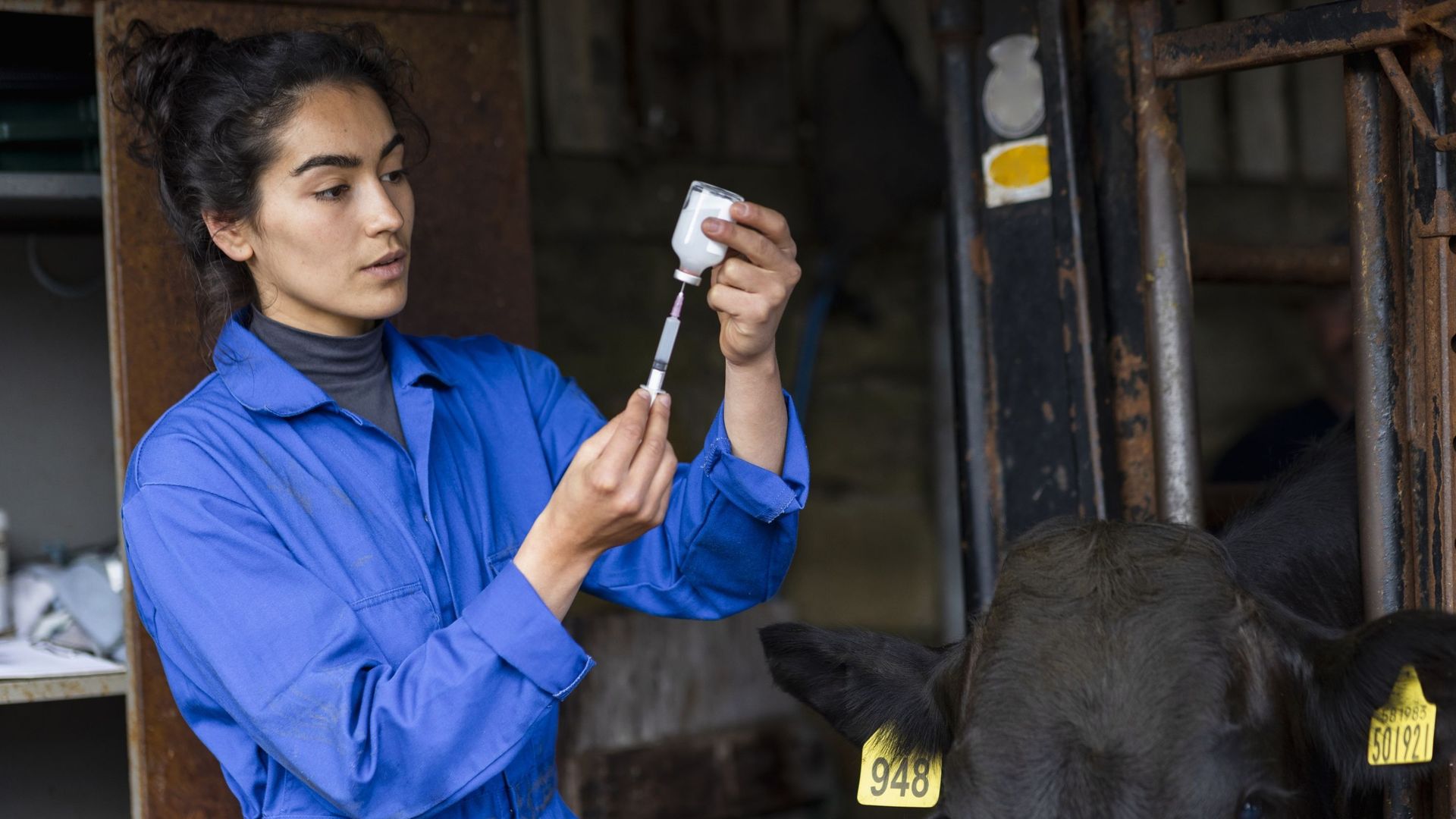 , Une meilleure rémunération pour les vétérinaires indépendants chargés de mission pour l’AFSCA