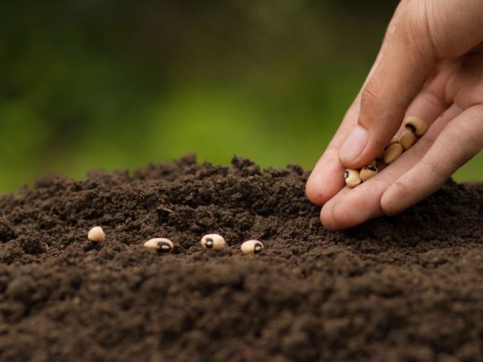 istock-1200963369 Semelles à la main