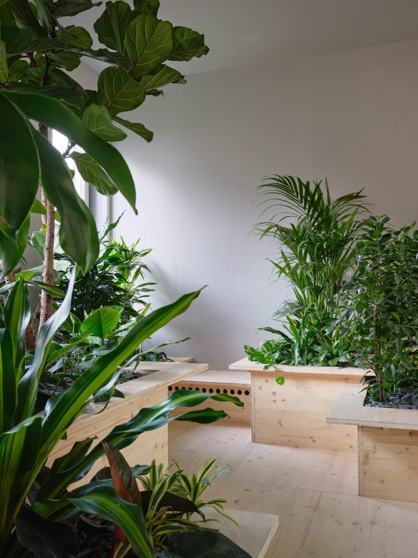 Zeller et Moye ont intégré des plantes dans le bureau allemand