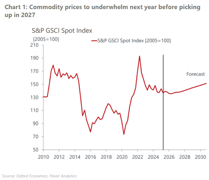 Commodity prices to underwhelm next year before picking up in 2027 Les prix des matières premières seront confrontés à des difficultés