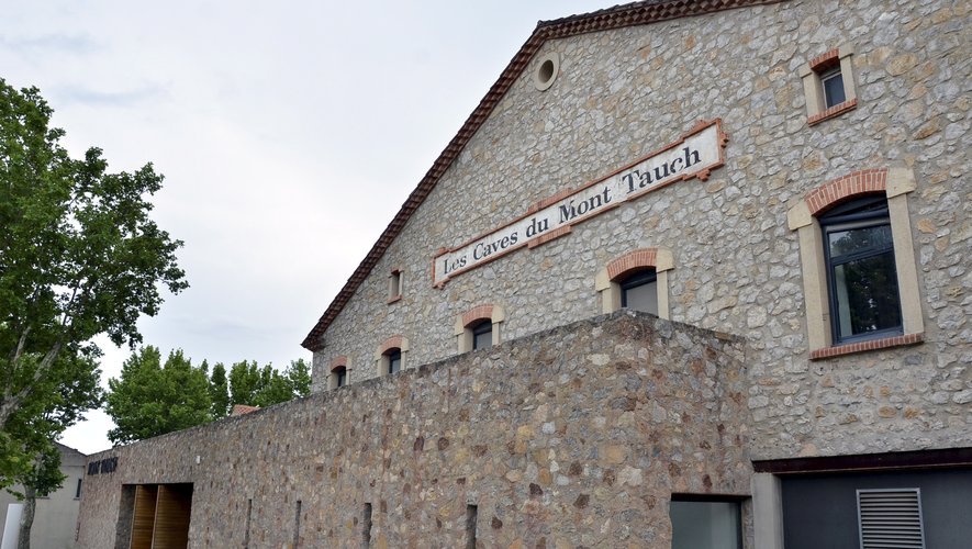 , Une opération lancée pour assurer une rémunération juste aux vignerons