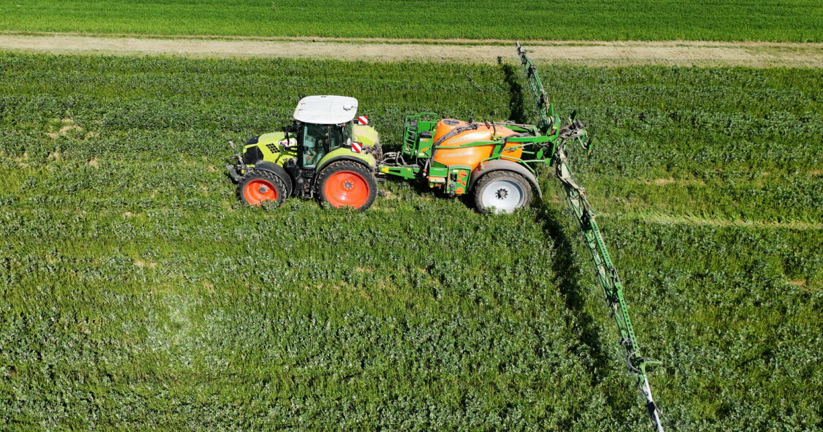 , Agriculture. Les auteurs étaient rémunérés par Monsanto : une étude pro-glyphosate retirée 25 ans après sa publication