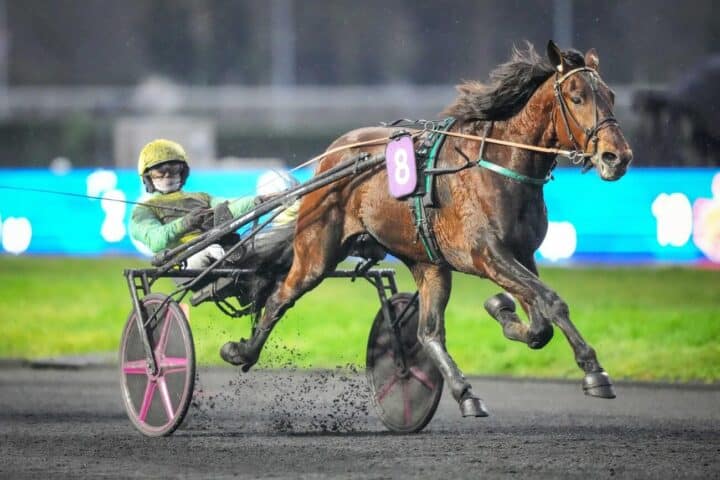 , Vincennes; Les 4 infos incontournables de la R1 de ce jeudi 25 décembre à Vincennes