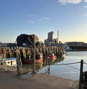 IMG_7411