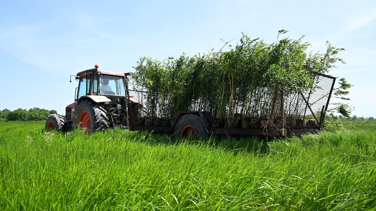 , Plus d’un agriculteur sur deux sous le Smic en Occitanie selon un rapport, « une précarisation progressive »