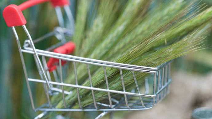 , Pour 43 % des agriculteurs, le revenu de l’activité agricole n’atteint pas le Smic