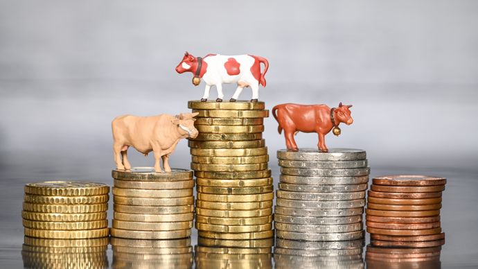 , Rémunération : les agriculteurs privilégient-ils capitalisation ou revenu ?